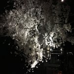 [댓글부탁해] <b>암거</b>나 추반파티 ㄱㄱ