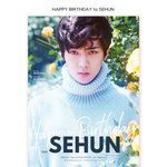 [세훈] <<세후니 생일 광고>>