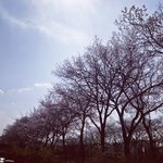 [댓글부탁해] <b>니</b>네<b>짝</b>남이랑어케친해짐?