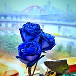 [조언부탁해] 이번주 일요일에 <b>넷친</b> 만날건데