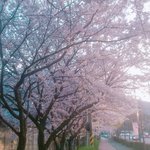 나초딩때 친구 앞에서 <b>수위</b>팬픽 강제공개함