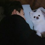 [눈배림] <b>정화</b>짤