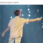 엑소백현팬 정신병 걸린 댓글 발견