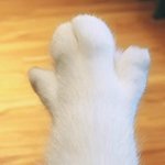 메갈이랑 일베는 다른 <b>사이트</b> 못하게