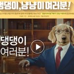 울집 똘이 댕댕미 <b>발사</b>!