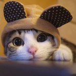 [댓글부탁해] 그룹별 씹<b>덕상</b> 짤좀 뿌려주라