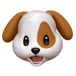 [드루와] 나랑 누가더 <b>운안</b>좋은지 배틀할래?