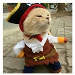 얘들아 나처럼 <b>입가</b>에 주름있는 판녀있어?