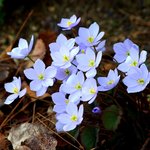 [꼭봐주세요] '신천지에 빠진 사람들' 한기총 VS 신천지예수교회...