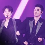 [뉴이스트W] 호랑이랑 토끼랑