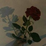 나 오늘 짝남한테 <b>개설렘</b>ㅠㅠㅠ들어와줘 다들