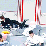 [박우진] 애기강아지가 뒷발차기 <b>하눈</b>거같이