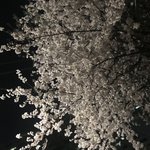 [댓글부탁해] 내 <b>예비</b> 전<b>남친</b>이랑 조카 꼬이고 잇다 ㅋㅋㅋㅋ