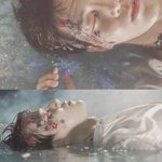 [EXO] 만약 다람쥐들 <b>얼굴</b>에 꽃 붙여<b>줌</b> 절한다ㅠㅜ