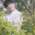 [세븐틴] 청량을 인간화한다면 이런<b>모습</b>이네