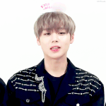 [박지훈] ✔생일투표!! 클릭한번만 해줘