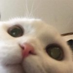 [조언부탁해] 나 진짜 죽고싶다