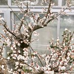 [추반] 고2인데 <b>한심</b>하다 아니다 추반좀