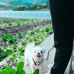 우리반에서 나만 코 못생김