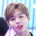 벚꽃 빨리 져라져라저려ㅏ