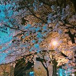 이게 내가 <b>쪼잔</b>하고 속좁은거임?
