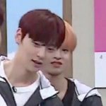 워너원 <b>착시</b>현상