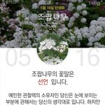 [방탄소년단] 이젠 하다하다 <b>탄생화</b>까짘ㅋㅋㅋ