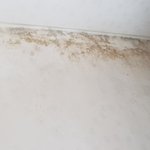 [꼭조언부탁] 제발 도와주세요ㅠ 집주인횡포!!