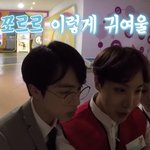 [방탄소년단] <b>다람쥐</b>들ㅜㅜ커여워