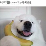 얘들아 뒤에서 봤을때 이러면 <b>에바</b>임?