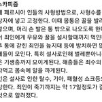[19] <b>처벌법</b> 강화