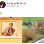 [시우민] 시우민팬들이 벌써부터ㅋㅋㅋ