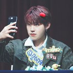 [박우진] 하뚜도 제대로 못꽂아서