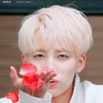 최근 팬싸에서 유행하는 아이템인듯