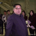 아이린 평양 다녀온 짤들jpgif