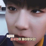 [박우진] ㅇㅋㅇㄴㅇ 참새캠 떴당 -!!!!!!