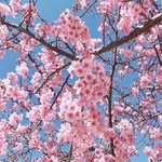 [조언부탁해] 나 아싸된듯ㅎㅎ