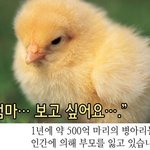 망했다