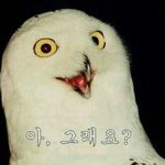 [드루와] 얘들아 뭐지 뿅 소리나고 휴대폰 울림