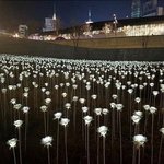 얘더라 너네 <b>여름때</b> 아디다스반바지같은거 입으면