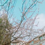 아랫집 <b>개</b> 새끼 몇주동안 조카 <b>쳐</b>짖어