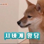 하 자존감 팍 낮아<b>진다</b>
