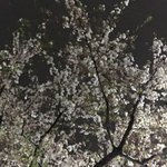 [댓글부탁해] 동아리 선배 오빠한테 이렇게 보내는거 ㄱㅊ?