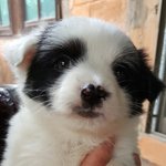 수도권이 고향이신 분들께 여쭤봅니다