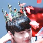 봄날, 꽃잎에 정신 <b>혼미</b>한 남돌