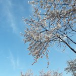 [EXO] <b>집</b> 베란다에서 찍은거임
