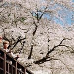 [박우진] ㅂㅌㅌㄹ 목격 또떴다.....(영화<b>포스터</b>인줄)