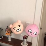 <b>솜사탕</b> 아꼈더니 이렇게 됨ㅋㅋㄱㄲ