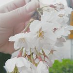 [댓글부탁해] 댓글달면 보정해줄께! (보정법 <b>본문</b>참고!