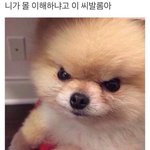[댓글부탁해] 남자선배가 나한테 <b>레즈</b>라고 욕함